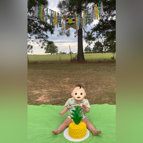 1st Birthday Pineapple Boy Cake Smash Photo Janie & Jack Outfit Set - Picture 3 of 8